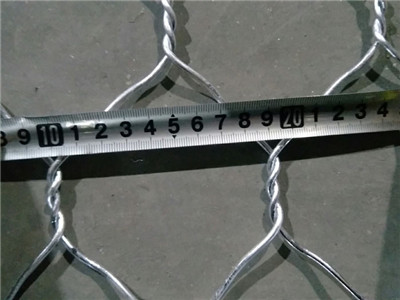 双绞格宾网